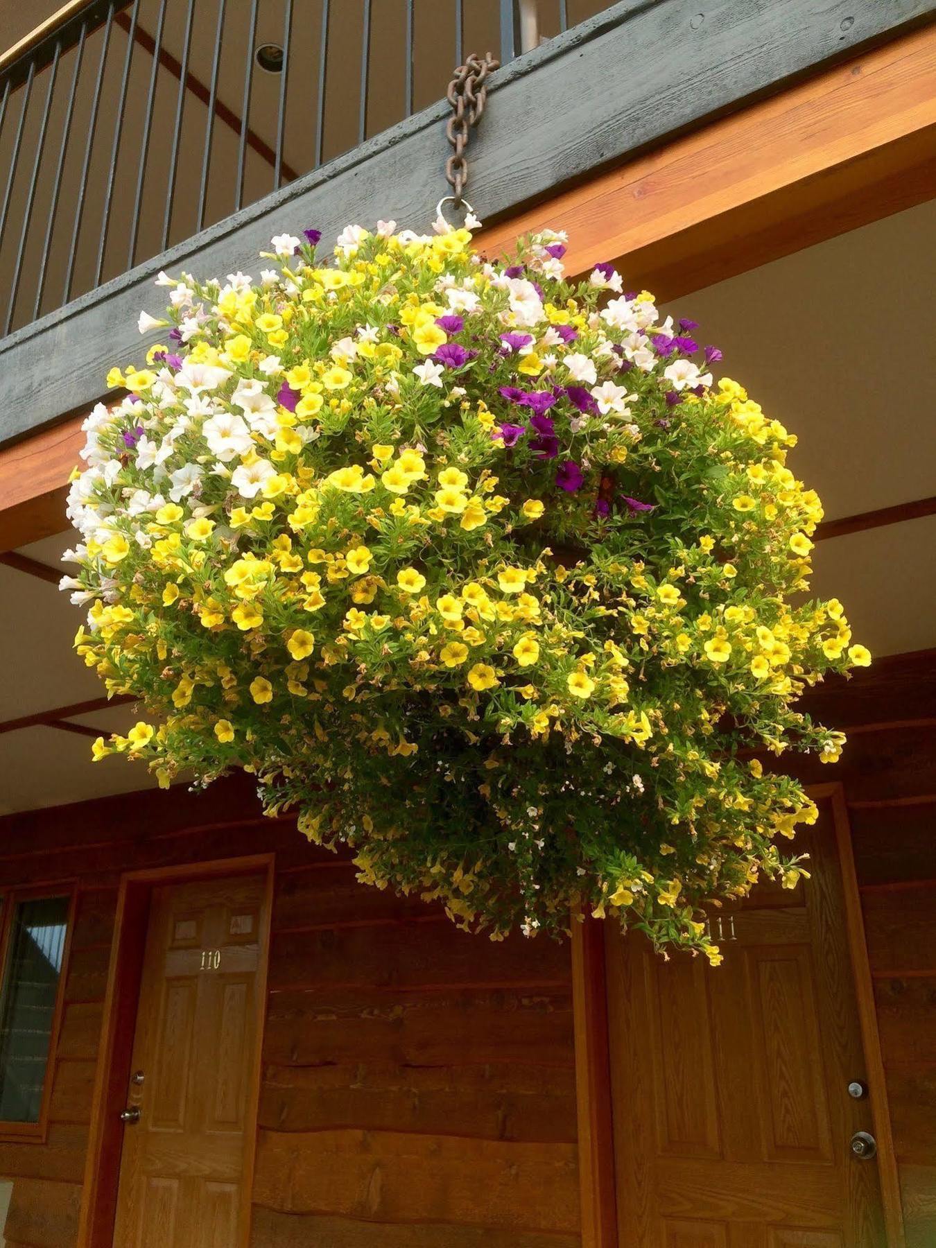 Cariboo Lodge Clinton Exterior foto